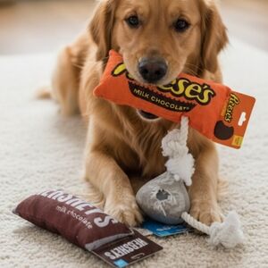 Hershey’s 3 Pc Novelty / Set Squeak Me! Pet Toys